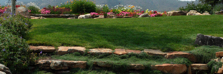 Keep Your Commercial Lawn In Great Shape With These Tips