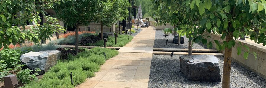 4 Tasks that you should Hire a Commercial Landscaper to do.