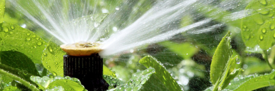 Checklist for a Successful Irrigation System