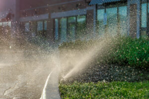 Image of a commercial lawn sprinkler